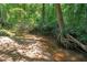 A small stream meanders through a wooded area, highlighting the property's natural beauty at 863 N Bay Overlook, Villa Rica, GA 30180