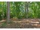 A wooded area with mature trees and natural ground cover, showcasing the property's natural surroundings at 863 N Bay Overlook, Villa Rica, GA 30180