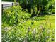 Lush landscaping featuring a variety of plants with yellow flowers and a classic black fence at 1652 Oak Grove Rd, Decatur, GA 30033