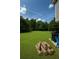 Expansive backyard with lush lawn, perfect for outdoor activities and gatherings, featuring a grill and seating at 45 Avery Drive, Covington, GA 30016