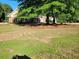 Spacious front yard featuring a large tree and lush green grass at 512 Ollas Walk, Mcdonough, GA 30252