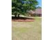 Spacious front yard featuring a large tree and lush green grass at 512 Ollas Walk, Mcdonough, GA 30252