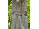 Close-up of the 'Piedmont Park' sign, surrounded by greenery at 1078 Piedmont Ne Ave # 206, Atlanta, GA 30309