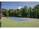 Community tennis courts surrounded by mature trees and lush greenery at 1245 Grace Hadaway Ln, Lawrenceville, GA 30043