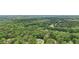 Beautiful aerial view of the property showcasing its mature trees and the surrounding greenery at 105 Laney Ct, Mcdonough, GA 30252