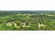 Expansive aerial view showcasing lush greenery, tree coverage, and the surrounding neighborhood at 105 Laney Ct, Mcdonough, GA 30252
