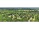An expansive, verdant landscape encompasses houses in a serene, wooded setting, view from above at 105 Laney Ct, Mcdonough, GA 30252
