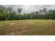 Vast green field with mature trees, perfect for recreation or potential development at 7505 Rico Rd, Chattahoochee Hills, GA 30268