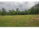 Spacious green field surrounded by mature trees, offering a serene and private setting at 7505 Rico Rd, Chattahoochee Hills, GA 30268