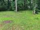 Expansive backyard featuring mature trees and lush greenery at 1681 Sw Hammond Woods Sw Cir, Marietta, GA 30008