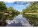 Scenic view of a calm river reflecting the sky and surrounded by lush green trees at 735 River Ridge Ln, Suwanee, GA 30024