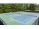 A glimpse of the pristine community tennis courts, ready for a match at 1634 Crittenden Ln, Lawrenceville, GA 30043