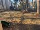 An inviting backyard with a hammock and mature trees, perfect for relaxation at 7592 Watson Kaye, Stone Mountain, GA 30087