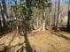 The backyard includes a hammock and abundant sunlight at 7592 Watson Kaye, Stone Mountain, GA 30087