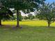 Expansive green lawn backyard with mature trees provides a serene and private setting at 1695 Whitley Rd, Dacula, GA 30019