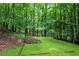 Expansive backyard featuring lush lawn and mature trees, offering privacy and a peaceful setting at 3726 Scotts Mill Run, Peachtree Corners, GA 30096