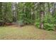 Wooded backyard featuring lush greenery and a fenced in area at 155 Redspire Ln, Fayetteville, GA 30215