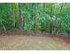 Scenic backyard with mature trees at 3318 Freedom Lndg, Kennesaw, GA 30144