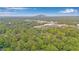 Overhead view of lush greenery with mountain peak in the distance on a clear day at 4698 Fellsridge Dr, Stone Mountain, GA 30083