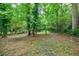 Expansive backyard with mature trees creating a secluded, natural retreat for outdoor activities at 3294 Francine Dr, Decatur, GA 30033
