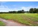 Open land with some weeds and green grass at 1368 Tommy Lee Cook Rd, Palmetto, GA 30268