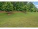 Manicured backyard with lush green grass, mature trees, and privacy for outdoor activities at 1998 Nuthatch Dr, Hoschton, GA 30548