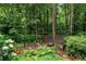 Secluded backyard area with a fire pit and seating, surrounded by lush greenery and mature trees at 2314 Tall Timbers Ln, Marietta, GA 30066