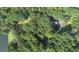Aerial view of a wooded property with a home, showcasing lush trees and natural surroundings at 2371 Leguin Mill Rd, Locust Grove, GA 30248