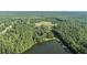 Aerial view of the property featuring serene pond, rolling fields, and lush trees at 2371 Leguin Mill Rd, Locust Grove, GA 30248
