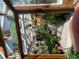 Interior view looking in to the greenhouse, filled with plants at 2371 Leguin Mill Rd, Locust Grove, GA 30248