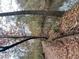 View of creek and treed property at 2371 Leguin Mill Rd, Locust Grove, GA 30248