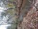 Creek on property with wooded landscape at 2371 Leguin Mill Rd, Locust Grove, GA 30248
