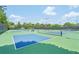 Multiple community pickleball courts with nets ready for friendly matches and outdoor recreation at 153 Towey Trl, Woodstock, GA 30188