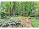 A lush backyard with a stone path and well-manicured landscaping at 5507 Martina Way, Dunwoody, GA 30338