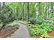A winding walkway through lush greenery and mature trees creates a serene outdoor experience at 5507 Martina Way, Dunwoody, GA 30338
