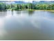 Community lake view showcasing the still water and lush shoreline of the serene lake at 1625 Clark Lake Nw Dr, Acworth, GA 30102