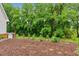 Green backyard, perfect for outdoor activities with a beautiful and lush tree line for privacy at 2610 Ginger Dr, Buford, GA 30519