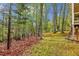 Wooded backyard at 3115 Chimney Cove Ln, Cumming, GA 30041
