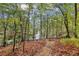 Wooded area with a view of the lake at 3115 Chimney Cove Ln, Cumming, GA 30041