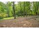 Backyard with lush trees at 4510 Virginia Nw Ave, Kennesaw, GA 30144