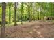 Large backyard with mature trees and natural surroundings at 4510 Virginia Nw Ave, Kennesaw, GA 30144
