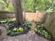 Beautiful landscaping along the edge of the patio creating a peaceful and inviting outdoor space at 380 Grant Se Cir # 110, Atlanta, GA 30315