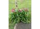 Vibrant pink lilies accent this home's exterior at 2095 Gherry Dr, Austell, GA 30106