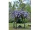 A beautiful wisteria tree adds curb appeal at 2095 Gherry Dr, Austell, GA 30106