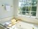 Bright bathroom with shower, tub and large windows at 445 Sweet Ivy Ln, Lawrenceville, GA 30043