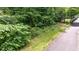Street-level view of the treed area of the property at 1526 Oakleaf Dr, Auburn, GA 30011