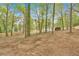 View of backyard featuring mature trees and level ground ready for outdoor entertainment and gardening at 484 Lorene Sw Dr, Marietta, GA 30060