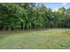 Large backyard featuring a lush green lawn, surrounded by mature trees, offering a serene and private outdoor space at 859 N Bay Overlook, Villa Rica, GA 30180