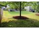 Large backyard with a patio, trees, and mulch beds at 5230 Centennial Hill Nw Dr, Acworth, GA 30102