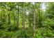 Lush backyard featuring mature trees, creating a private and natural oasis at 385 Anders N, Chattahoochee Hills, GA 30268